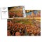 Boothferry Park Stadium Fine Art Jigsaw Puzzle - Hull City FC Boothferry Park Stadium Fine Art Jigsaw Puzzle - Hull City FC